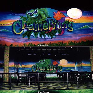 Chameleons Night Club Murals Cincinnati Makeup Artist Jodi Byrne